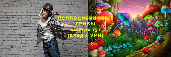 mix Алексеевка