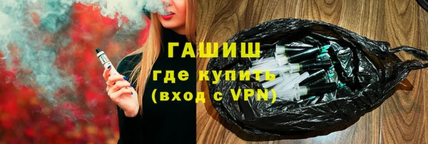 индика Алексин