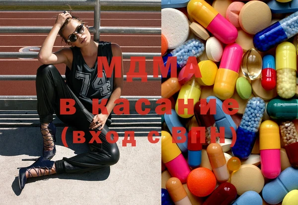 индика Алексин