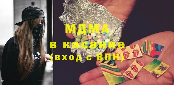 индика Алексин