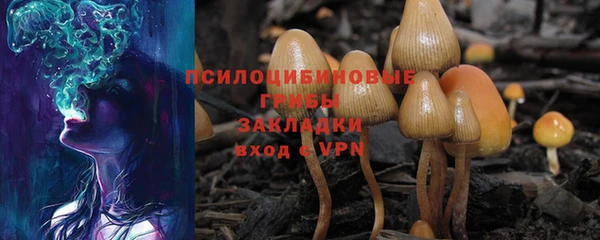 прущая мука Сатка