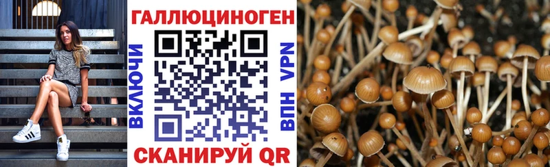 Галлюциногенные грибы Magic Shrooms  Лагань 